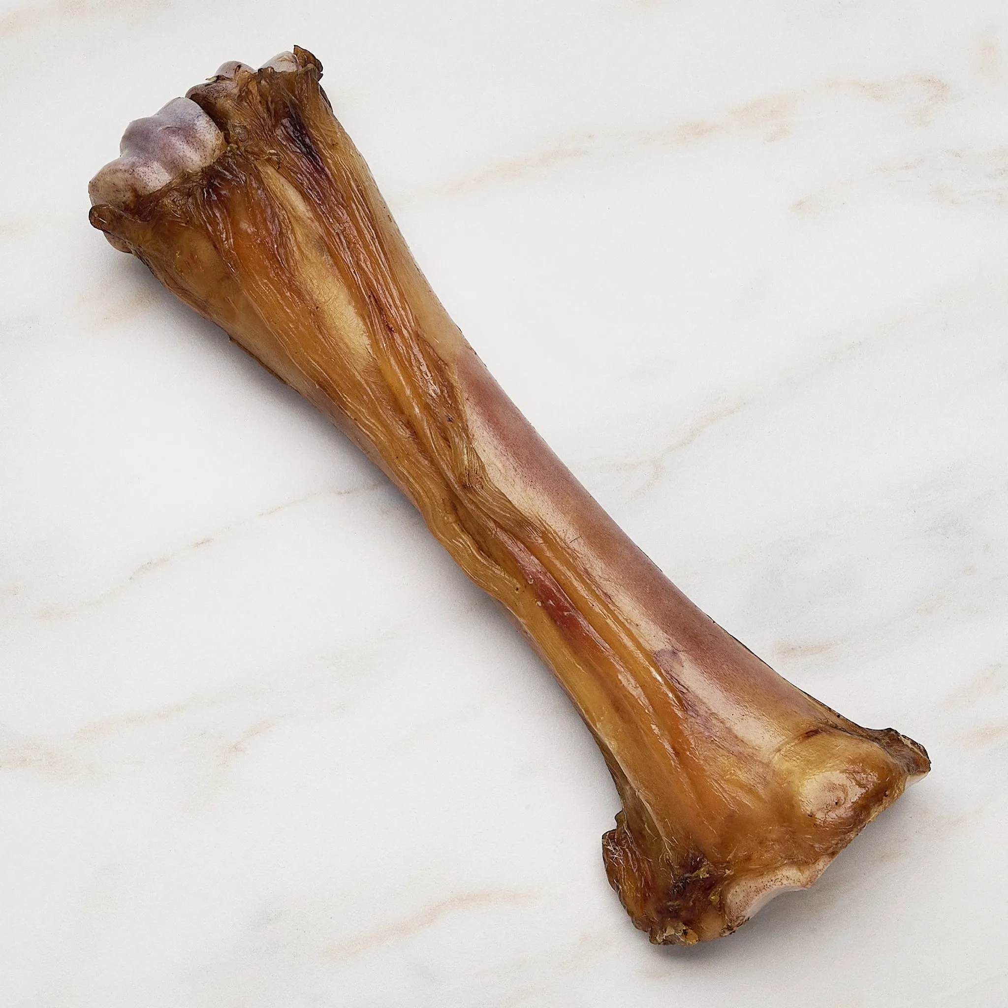 7 Inch Natural Roasted Shin Bone