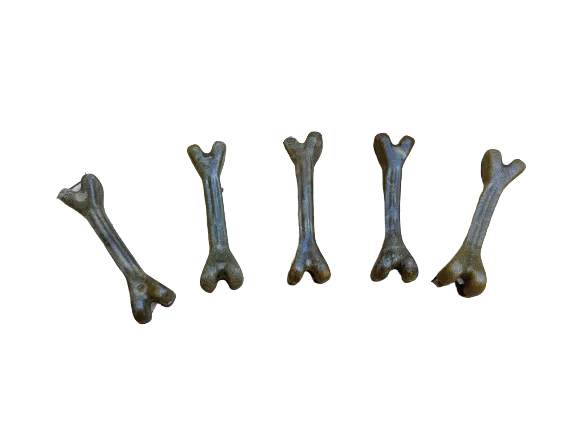 Breath Small Bone Fido