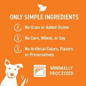 Cloud Star Wag More Bark Less Grain-Free Oven Baked with Peanut Butter & Apples Dog Treats 14 oz