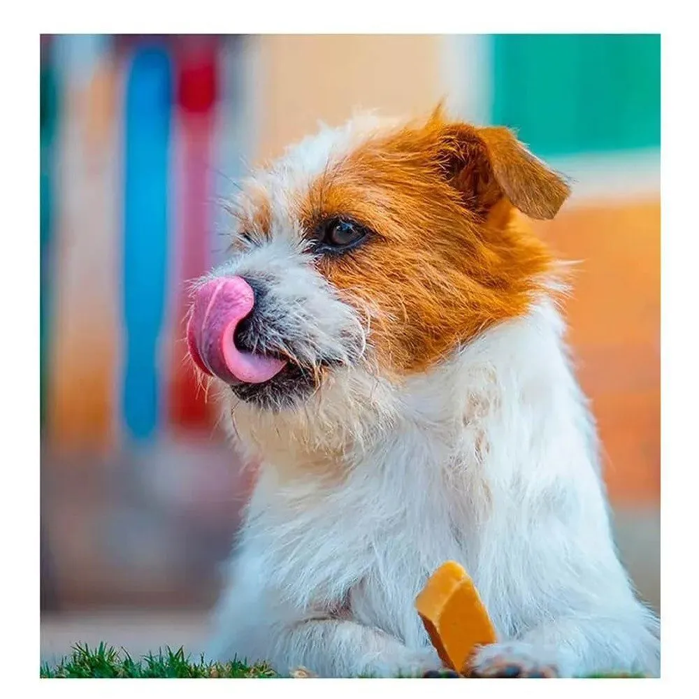 Dogsee 100g Small Dog Chew Bar Treats