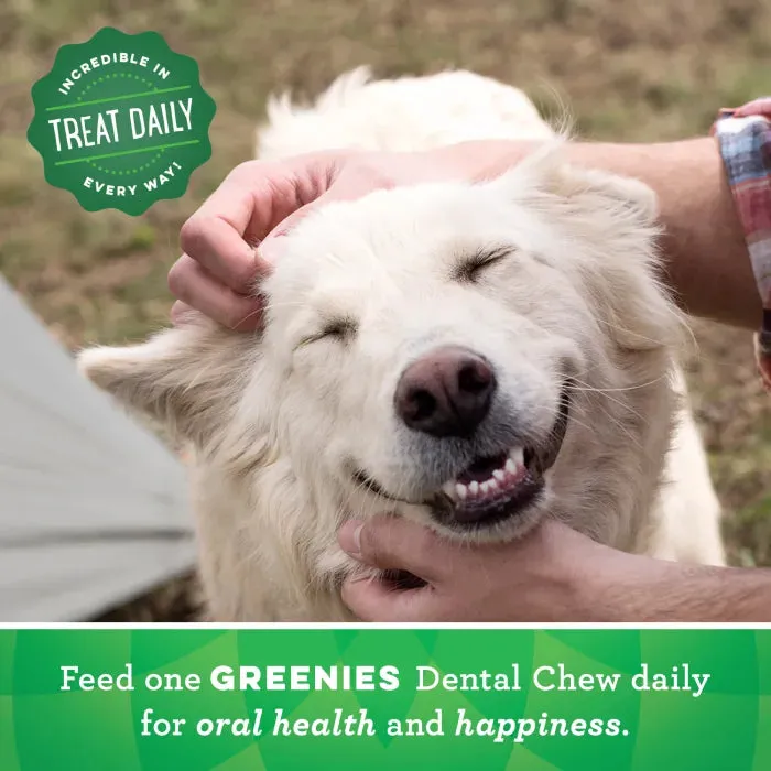 GREENIES Original Large Dental Treats, 24 Count