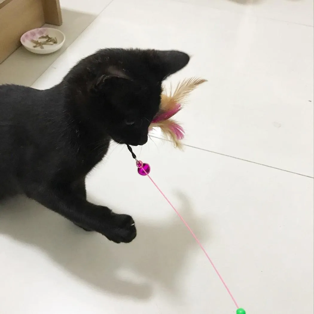 Interactive Mouse/Ball Cat Toys