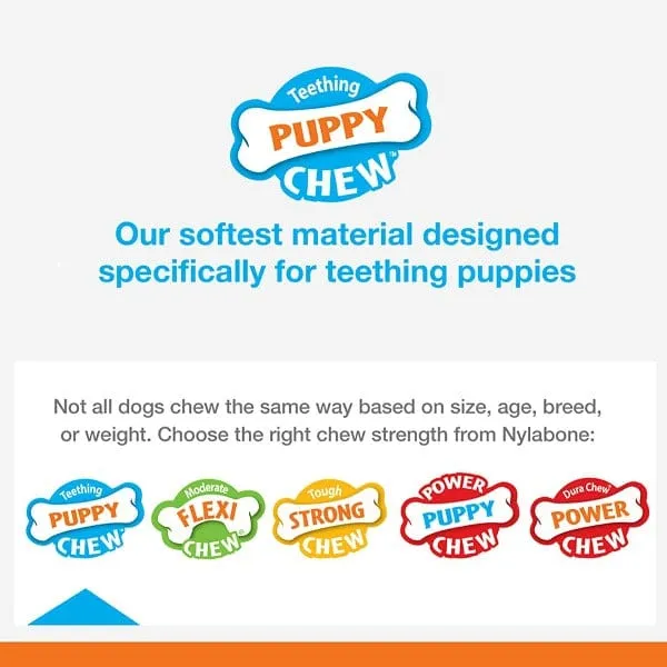 Nylabone Puppy Teething Pacifier