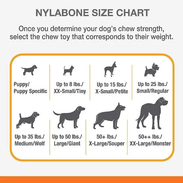Nylabone Puppy Teething Pacifier