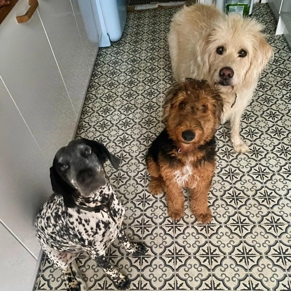 Peanut Butter 30 Doggy Treats