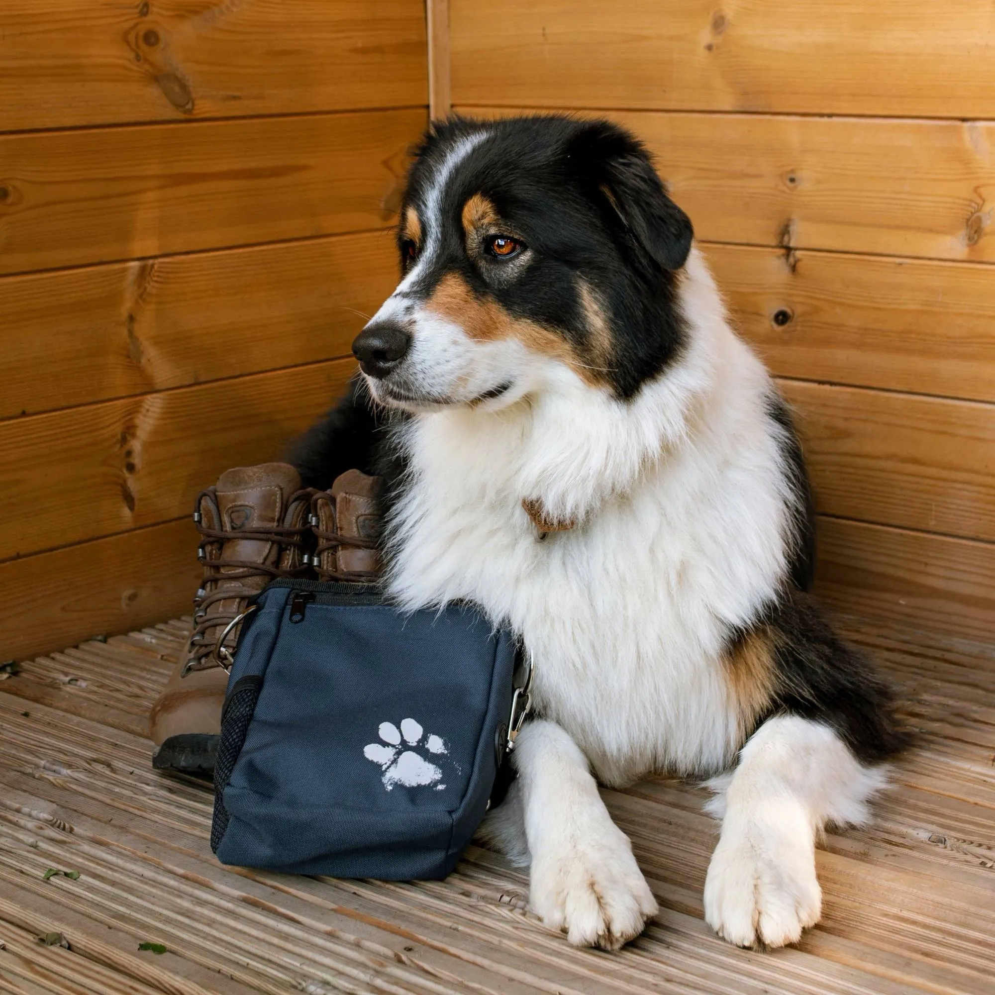 Recycled Treat & Dog Walking Bag