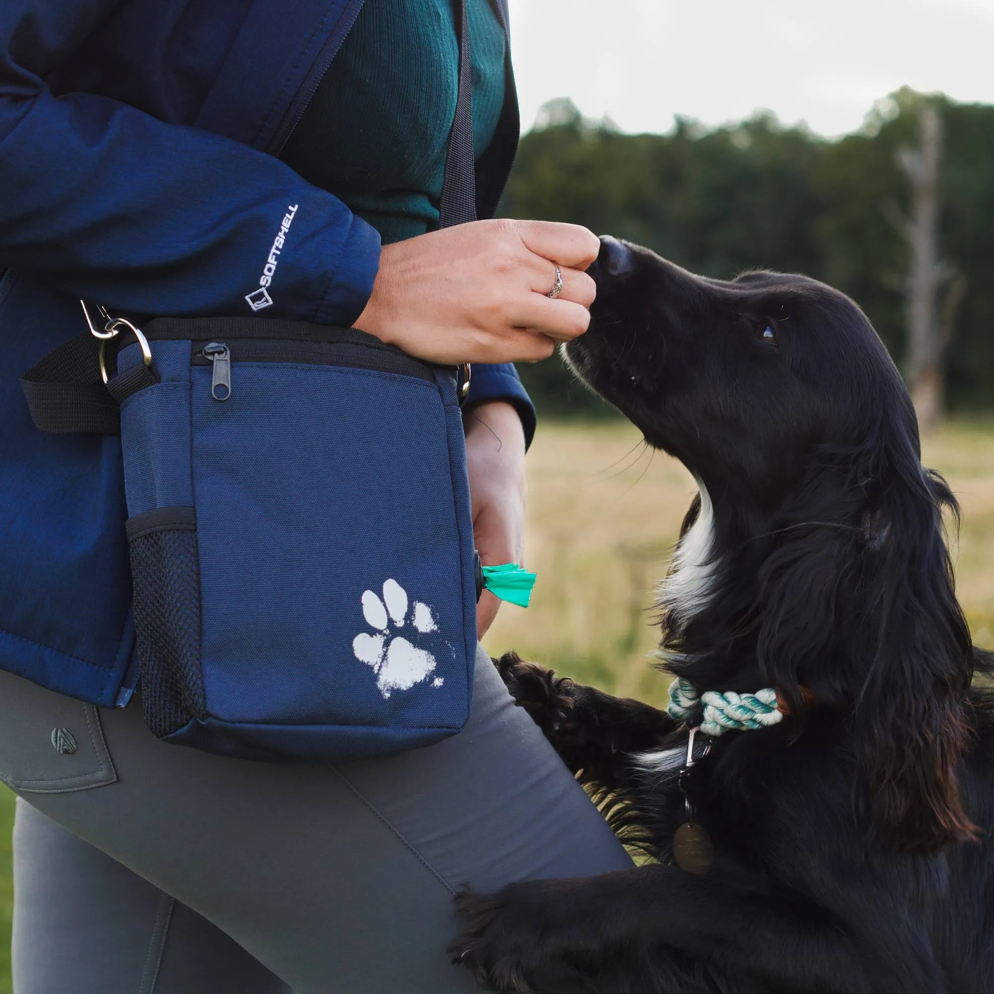 Recycled Treat & Dog Walking Bag