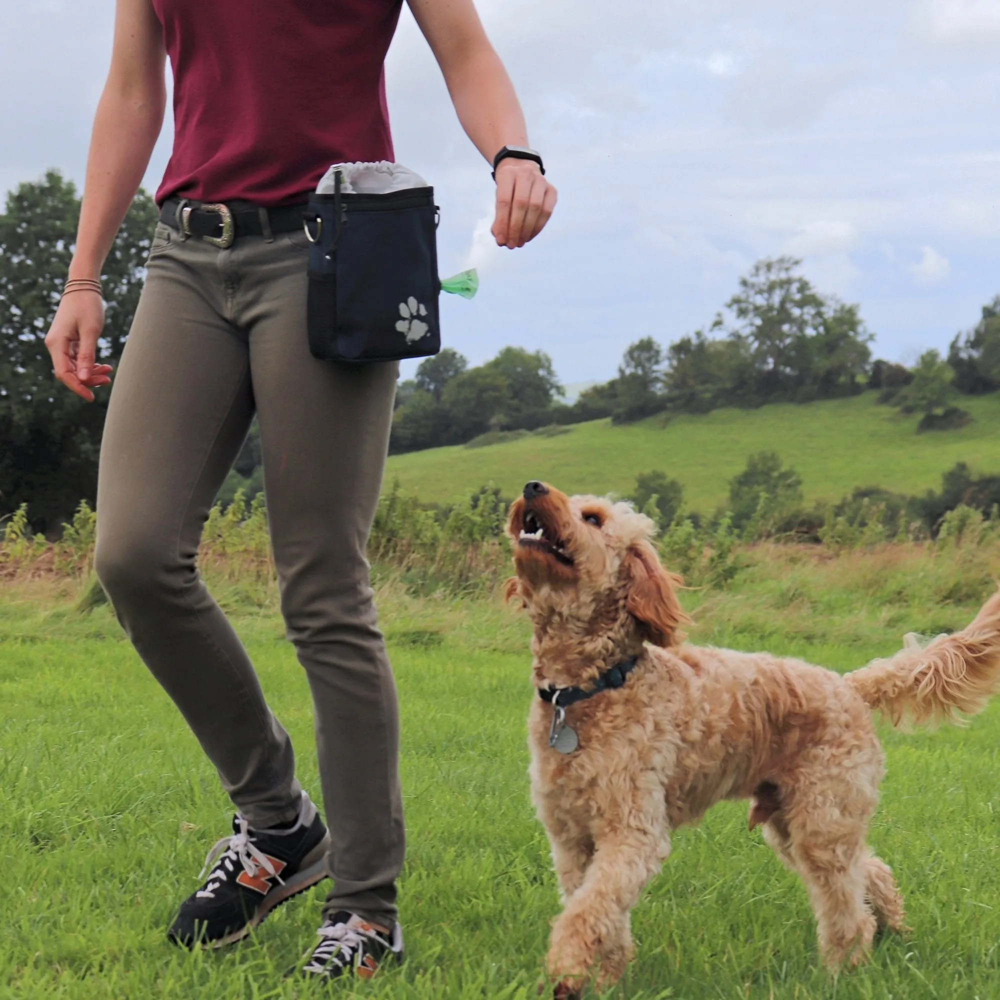 Recycled Treat & Dog Walking Bag