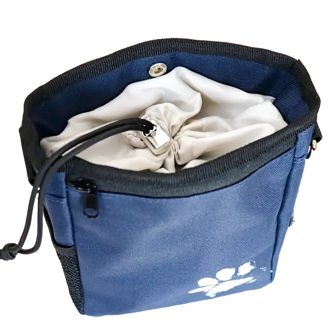 Recycled Treat & Dog Walking Bag