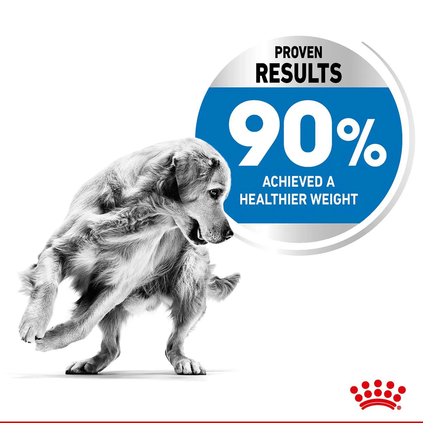 Royal Canin Maxi Adult Light Weight Care Dog Food 10KG