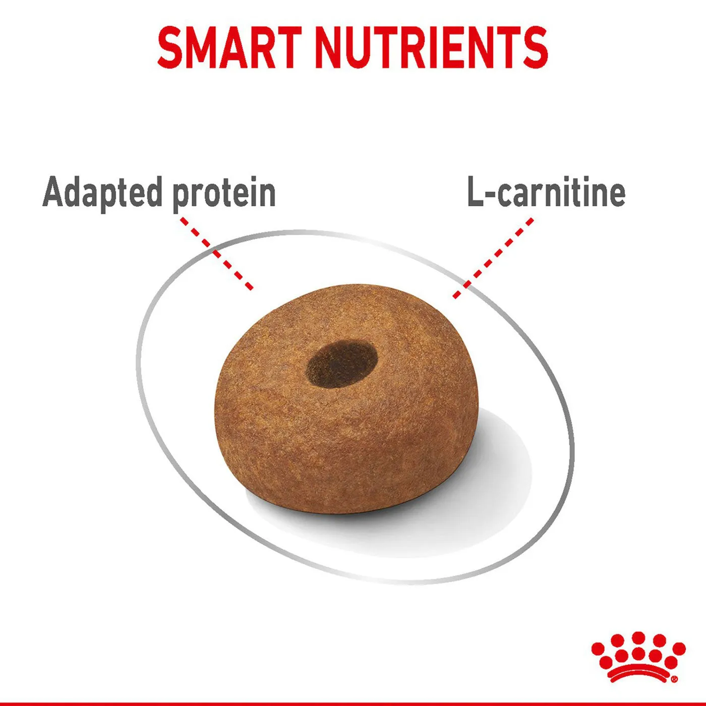 Royal Canin Maxi Adult Light Weight Care Dog Food 10KG