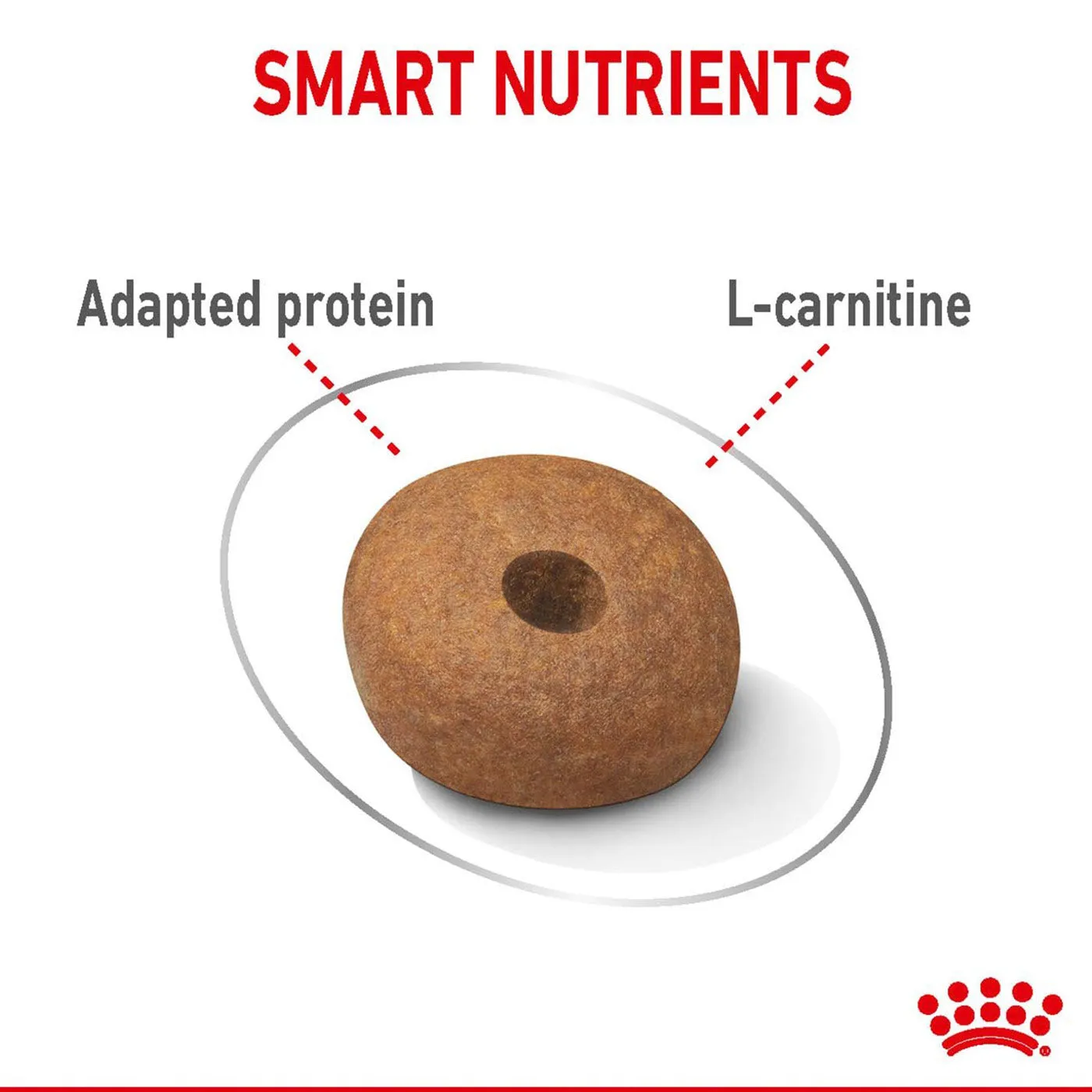 Royal Canin Medium Adult Light Weight Care Dog Food 10KG