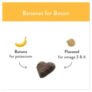 Shameless Pets Soft-Baked Bananas for Bacon Biscuits for Dogs, 6oz