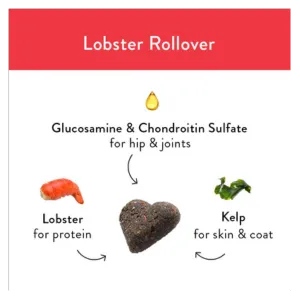 Shameless Pets Soft-Baked Lobster Rollover Biscuits for Dogs, 6oz