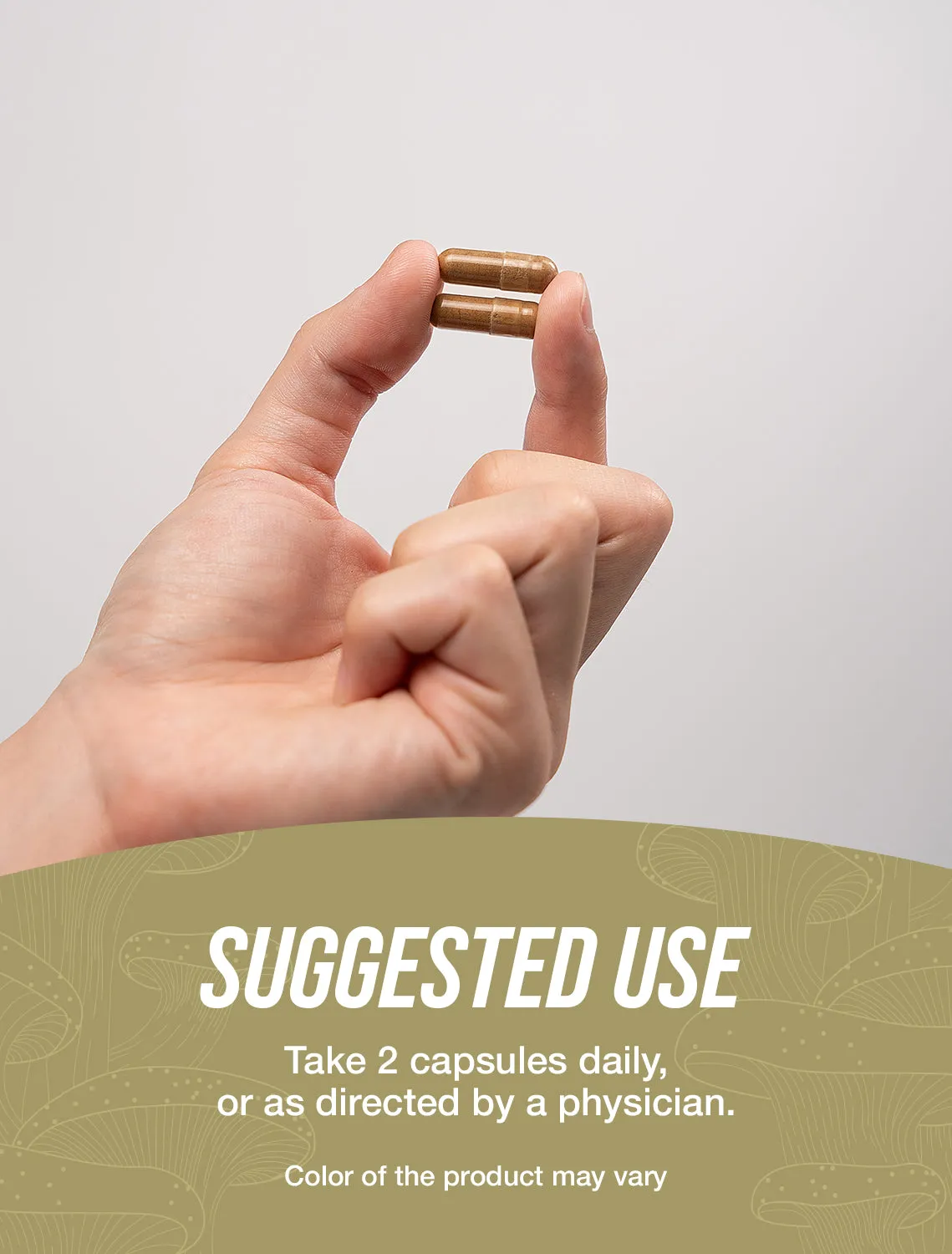 Turkey Tail Mushroom Capsules