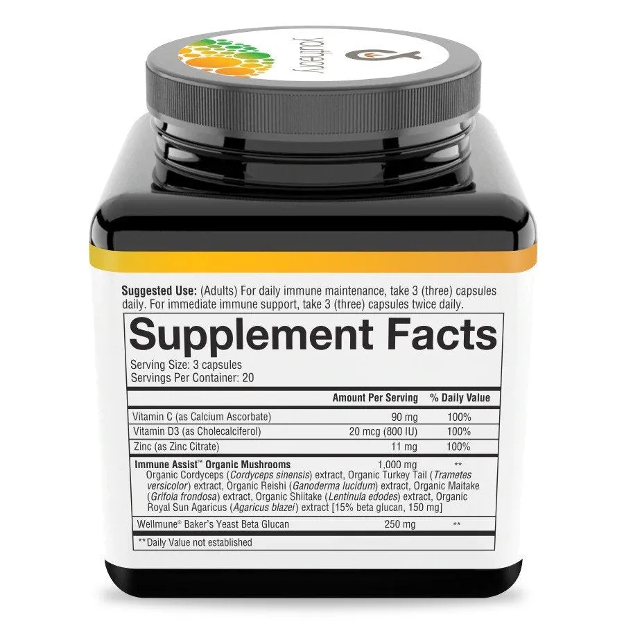 Youtheory Immune  Daily Wellness 60 Capsule